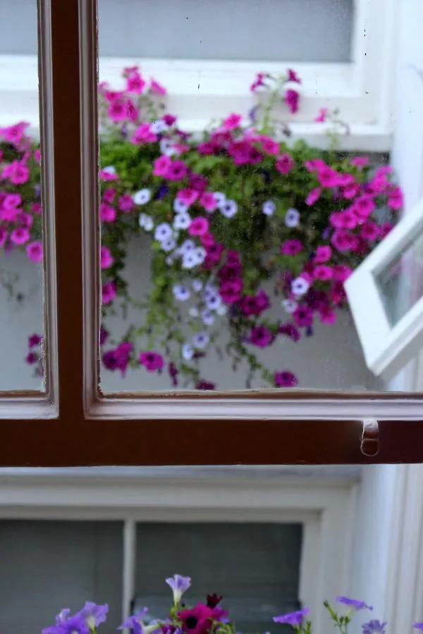 Bees B&B Amsterdam Netherlands